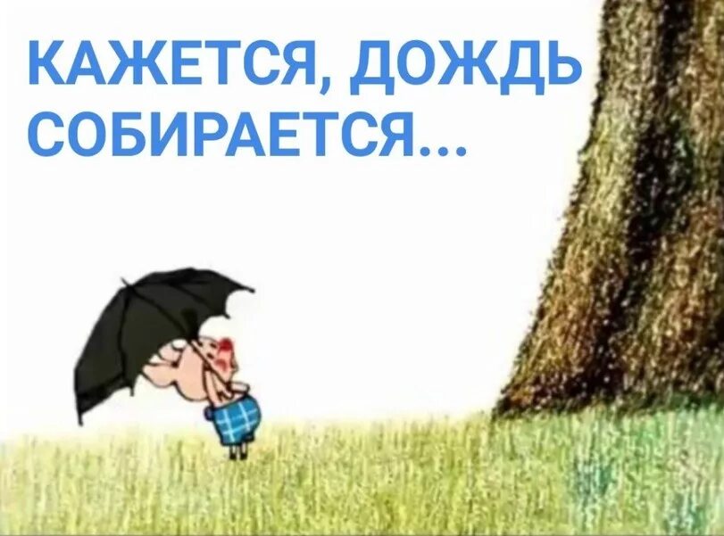Кажется дождь начинается. Винни пух кажется дождь начинается. кажется дождь собирается. пятачок кажется дождь начинается. кажется дождь собирается пятачок.