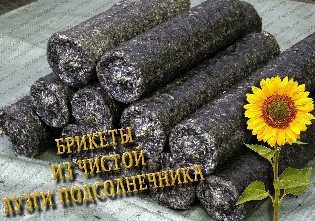 Топливные пеллеты из лузги подсолнечника. Топливные брикеты из шелухи кедра. Брикеты семечки. Брикеты семечки. Топливные брикеты из лузги.