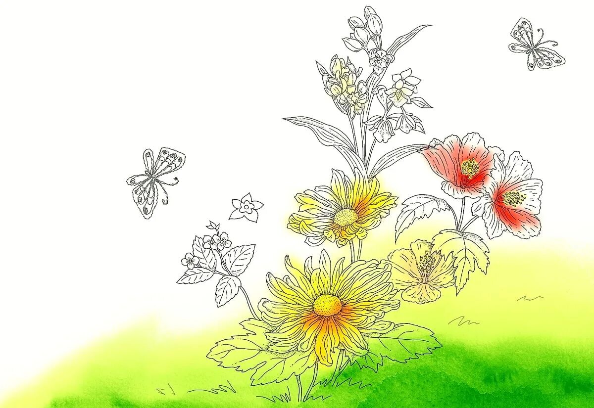 Лотос комарова рисунок. Рисунки красоты растений. Кувшинка белая водяная лилия раскраска. Первоцветы рисунки. Раскраска природа.