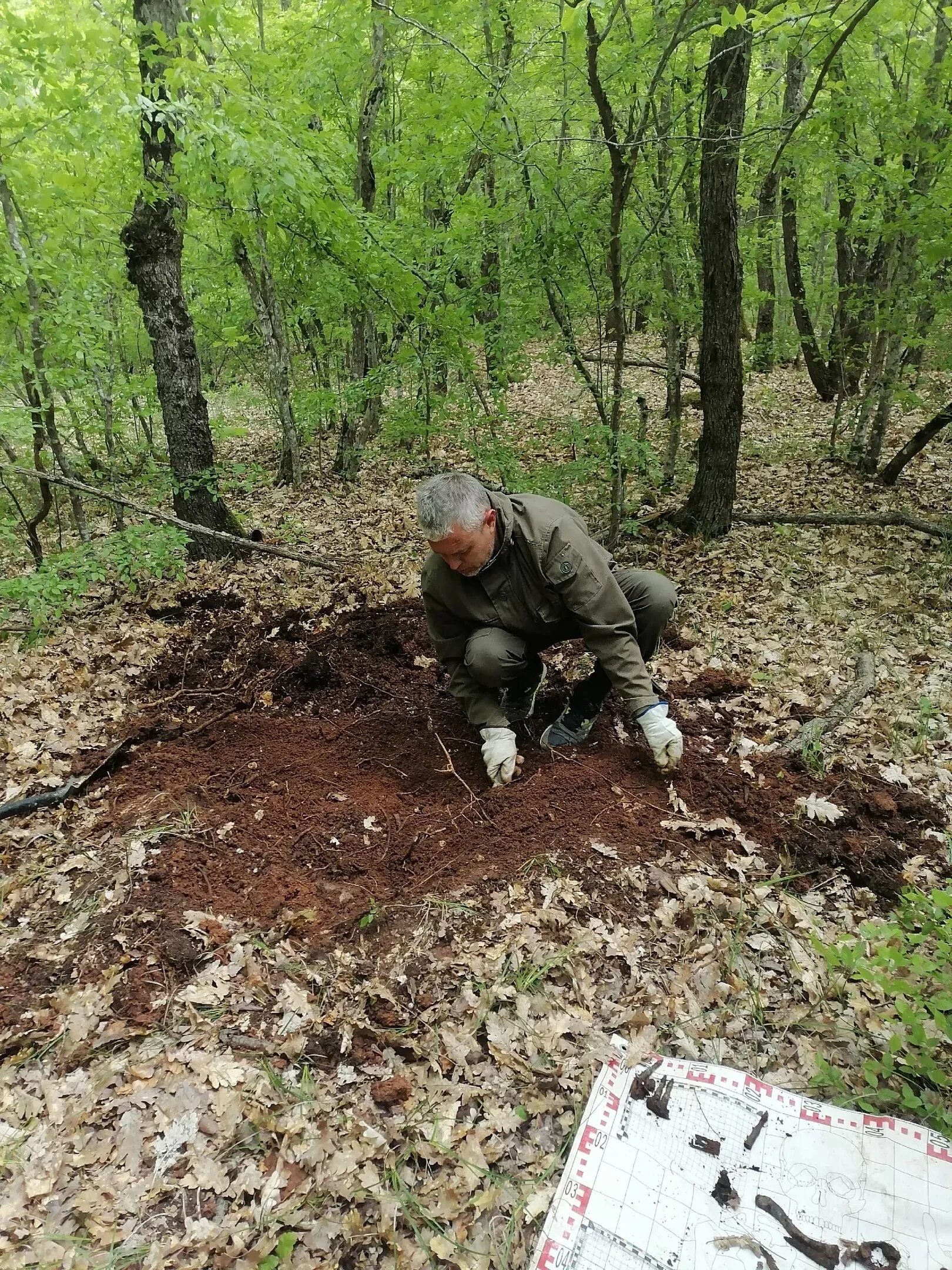 Чертов лес. Чертов лес