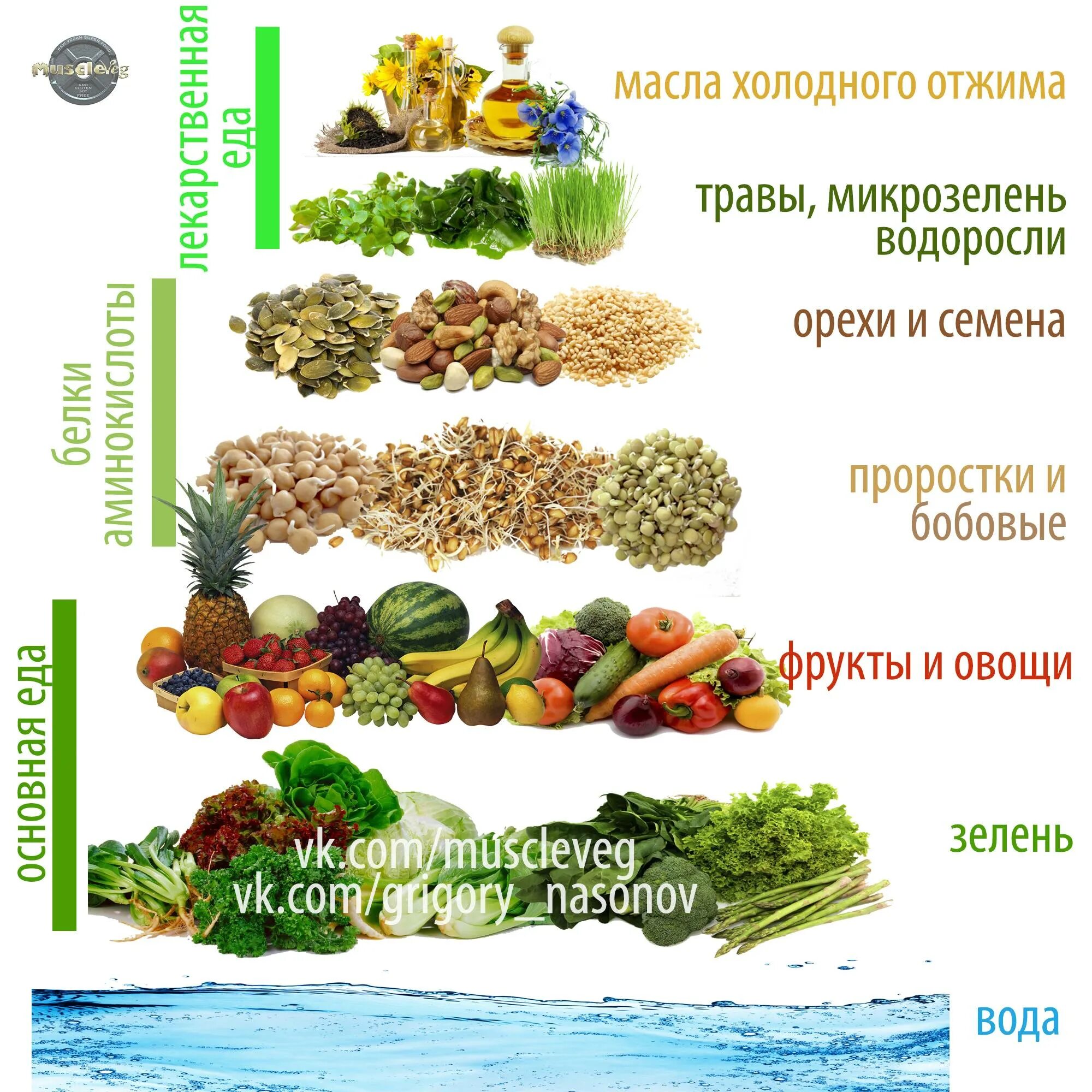 Веган и вегетарианец. Что можно есть веганам. Что можно есть вегетарианцам. Веганы и вегетарианцы отличия. Типы вегетарианства питания.