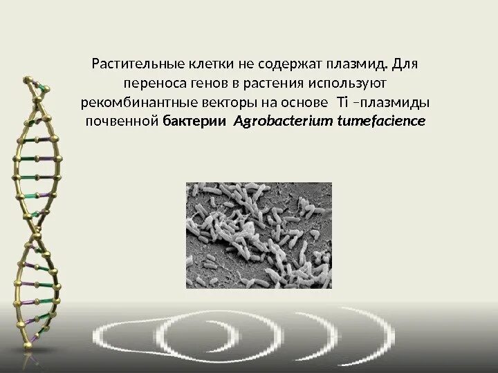 Генетический аппарат клетки. Векторный перенос генов. Наследственный аппарат клетки. Ген материал животных клеток.