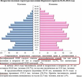 Сколько половых партнеров в среднем за жизнь