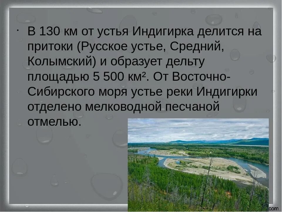 Река Индигирка Исток и Устье на карте. Река Индигирка на карте России Исток и Устье. Исток реки Индигирка. Исток и Устье реки Индигирка. Река колыма высота истока