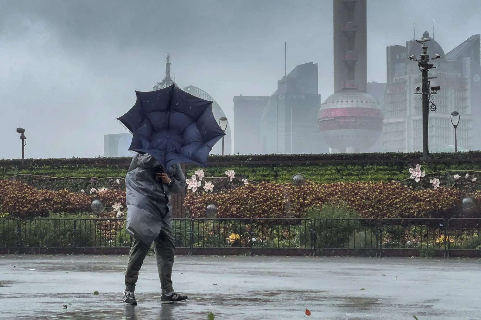 Дождь в Шанхае. Шанхай люди. Шторм в Шанхае. Шанхай буря. Ветер в китае