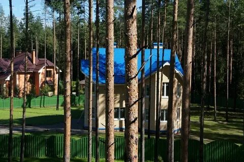 Солнечный бор