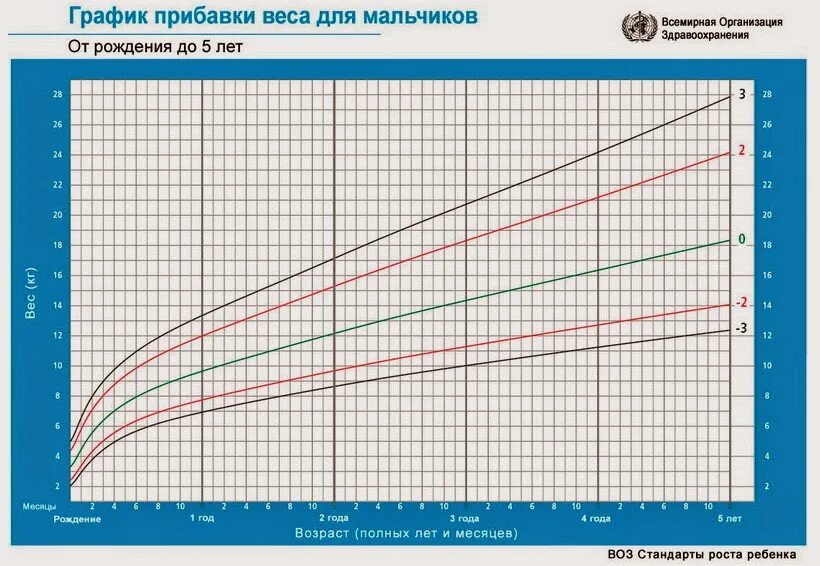 Нормы прибавки веса у мальчиков воз. График веса грудничка по воз. График прибавки веса воз для грудничков. Воз рост и вес ребенка до 1,5 года.