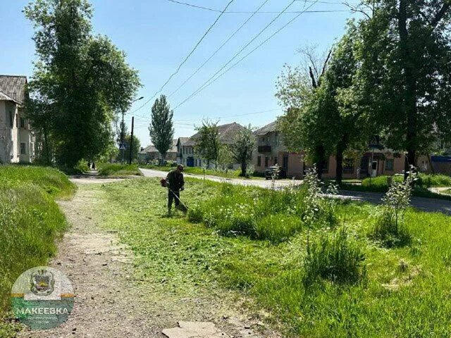 Типичная макеевка черный. Типичная макеевка черный. Работники администрации макеевки. Типичная макеевка черный. Ул зои космодемьянской воронеж.