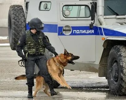 Полиция отпустила