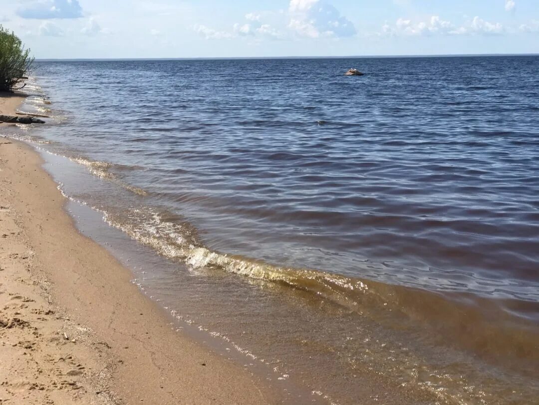 Милюшино Рыбинское водохранилище пляж. Брейтово пляж Рыбинское водохранилище. Ларионово Рыбинское водохранилище. Рыбинское водохранилище 2023 пляж.