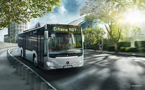 Citybus