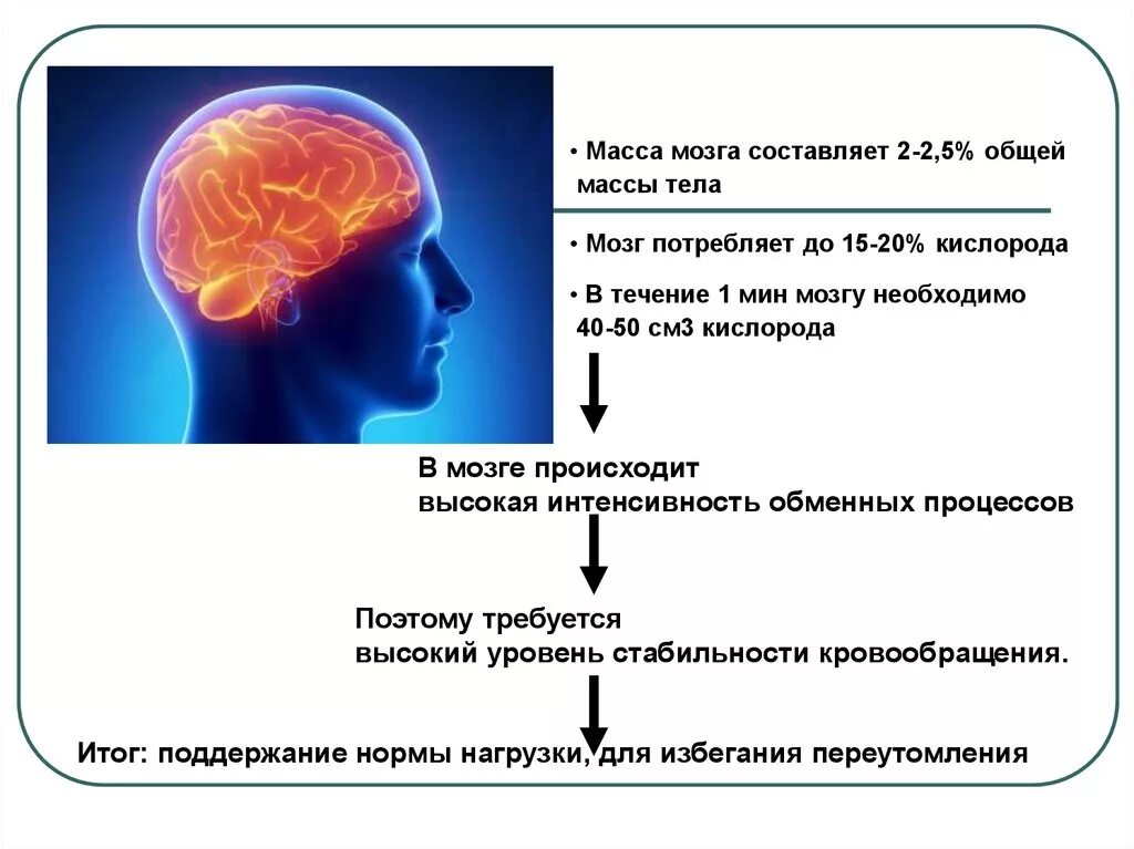 Сколько потребляет мозг. Изменения массы мозга. Потребление кислорода мозгом. Поглощение кислорода мозгом.