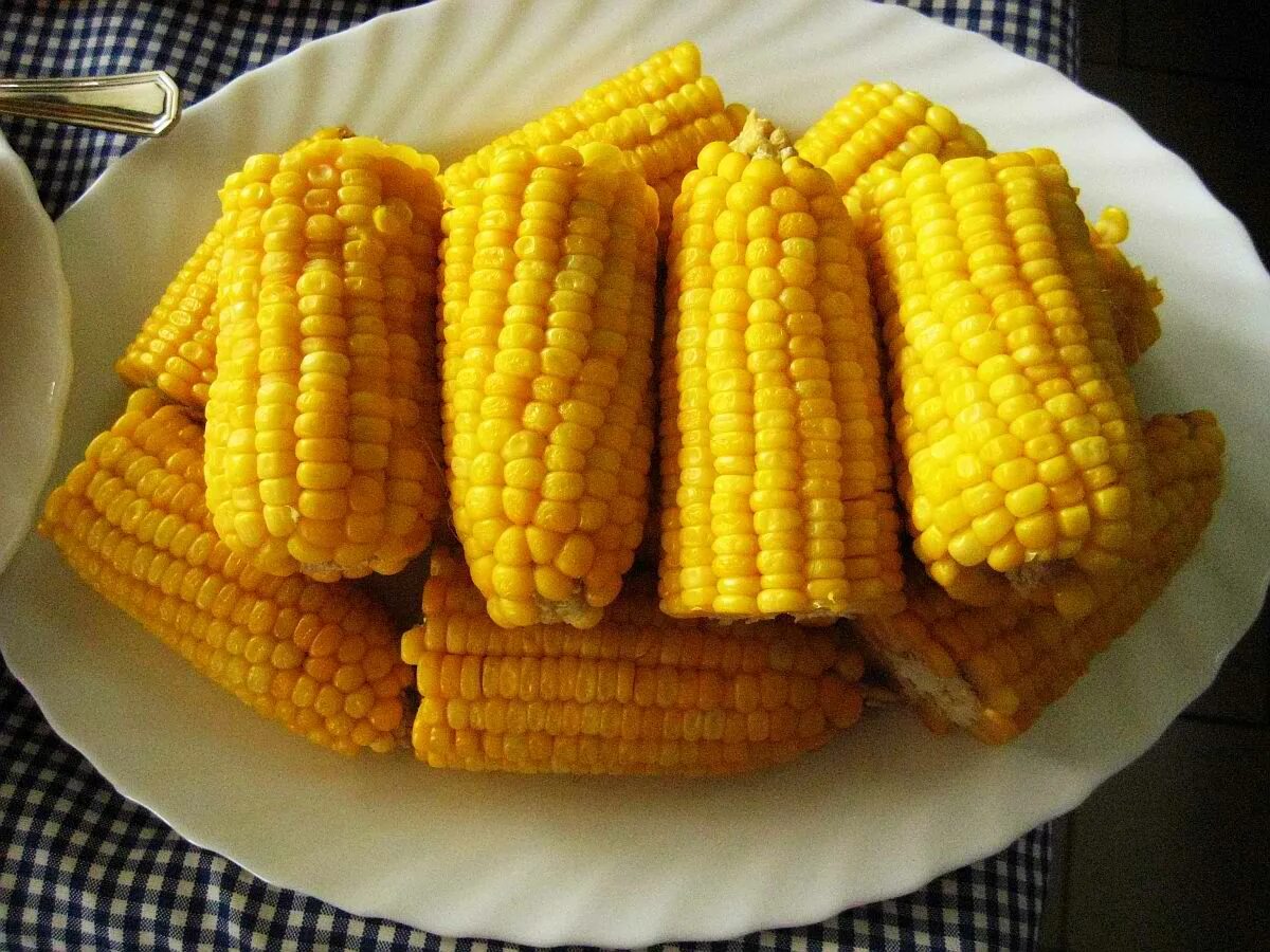 Вареная кукуруза. Кукуруза початок. Кукуруза отварная в початках. Кукуруза в кастрюле. Кукуруза вареная в початках