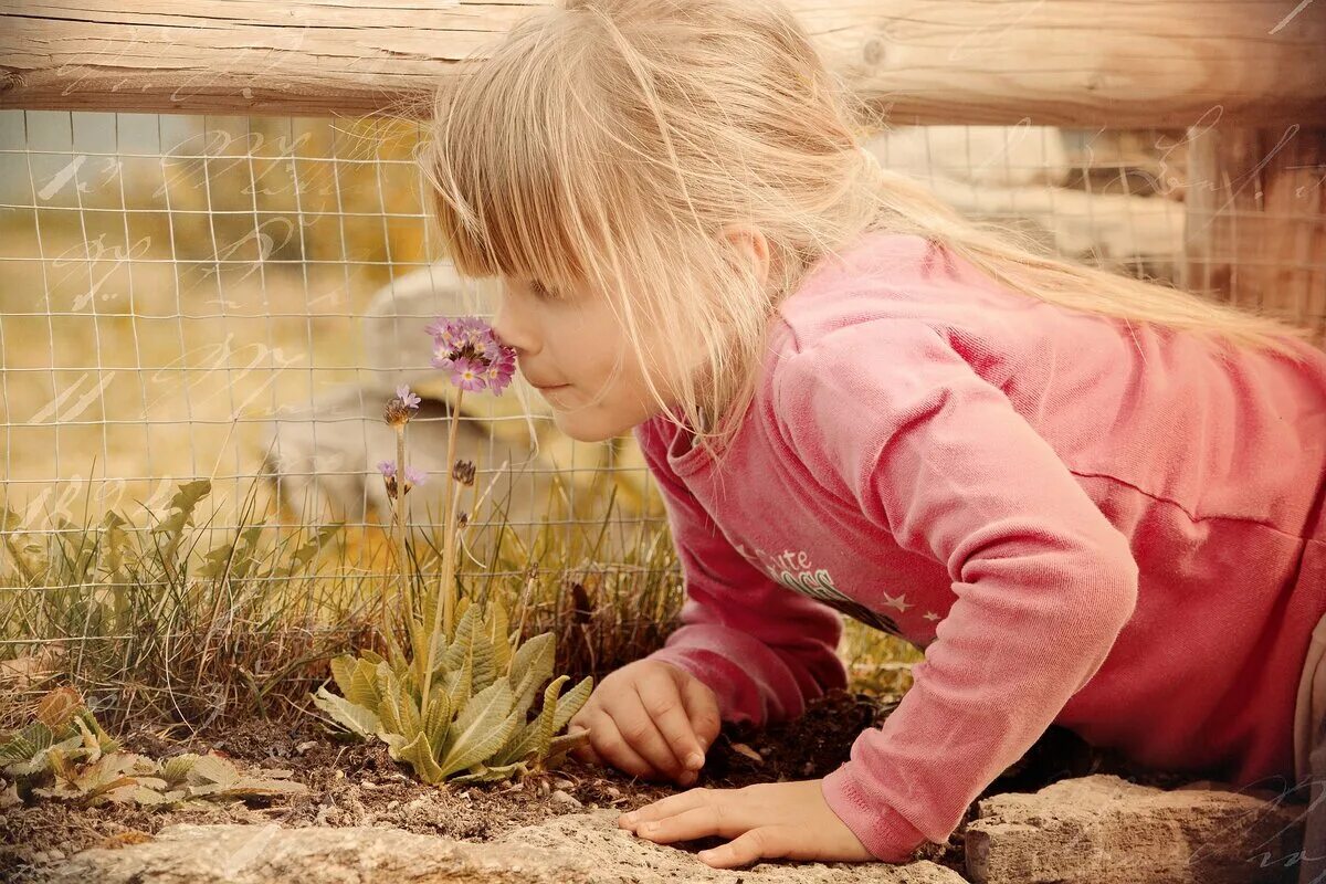 Ребенок нюхает цветок. Ребенок любуется цветком. Девочка нюхает цветок. Девочка любуется цветами. Чувствуешь запах лета