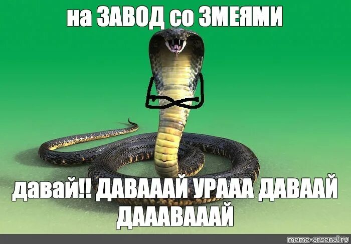Змею не дам. Змея Мем. Королевская Кобра Мем. Мемы со змеями. Мем про змею.