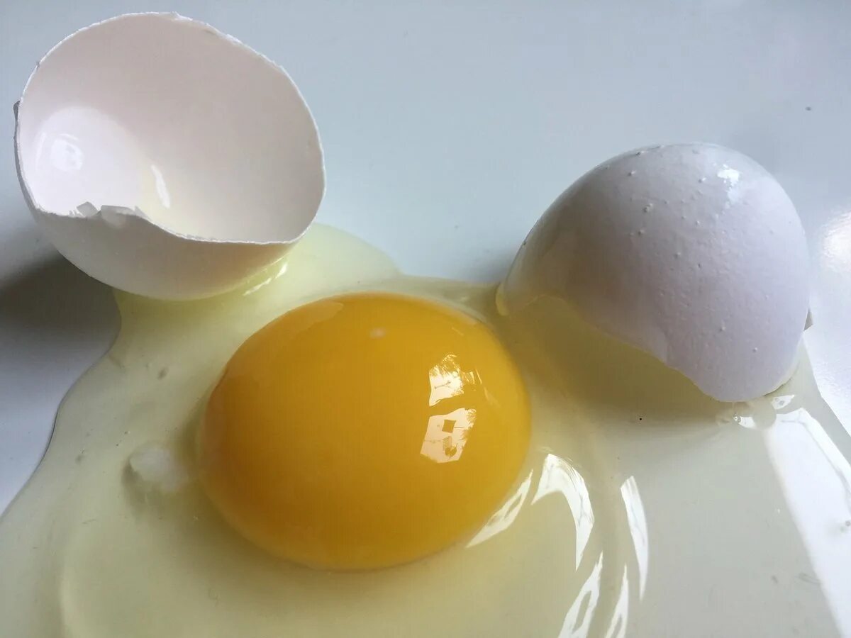 Яичный белок. Куриный белок. Яйцо. Белок куриного яйца. Свежесть куриных яиц.