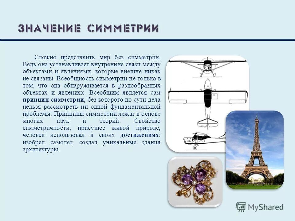 Симметрия в пространстве примеры. Симметричный значение. Симметрия в биологии примеры. Функциональная симметрия и асимметрия. Осевая симметрия в повседневной жизни.