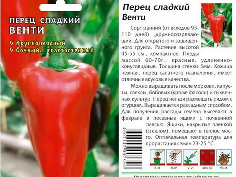 Лучшие сорта перцев
