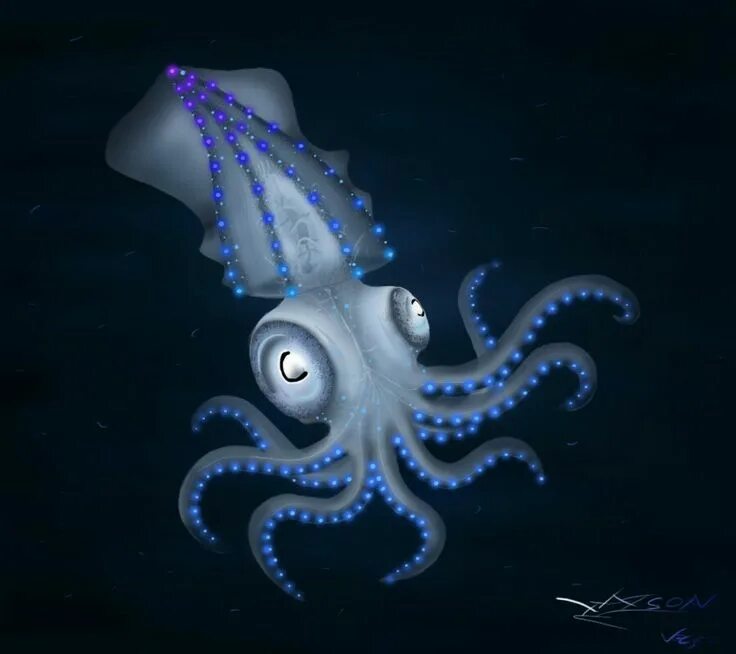 Squid_Nuudle William. Squid Jay. Squid ltalk. Squid game avatar.