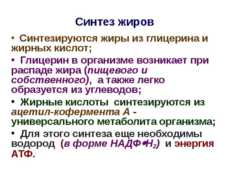 Синтез жиров происходит. Жиры синтезируются из. Собственные жиры организма синтезируются в. Синтез жиров. Синтез жира в организме.