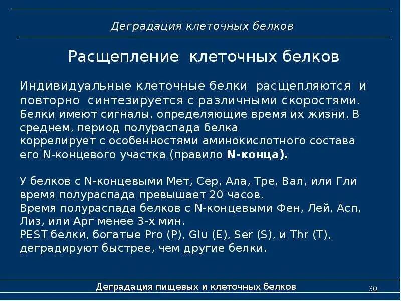 Как называется процесс деградации белка