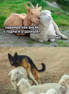 Смешные картинки 2023