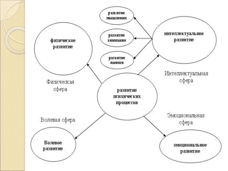 Развитие предметной деятельности в раннем возрасте. Методы развития творческих способностей дошкольников. Схема развития предметной деятельности. Схема развития деятельности ребенка. Структура творческой деятельности дошкольников.