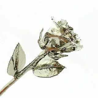 Silver rise