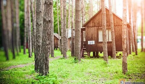Тихие зори увильды