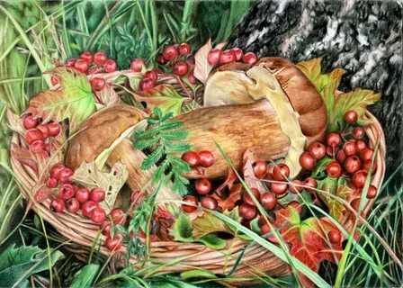 Грибы и ягоды картинки для детей