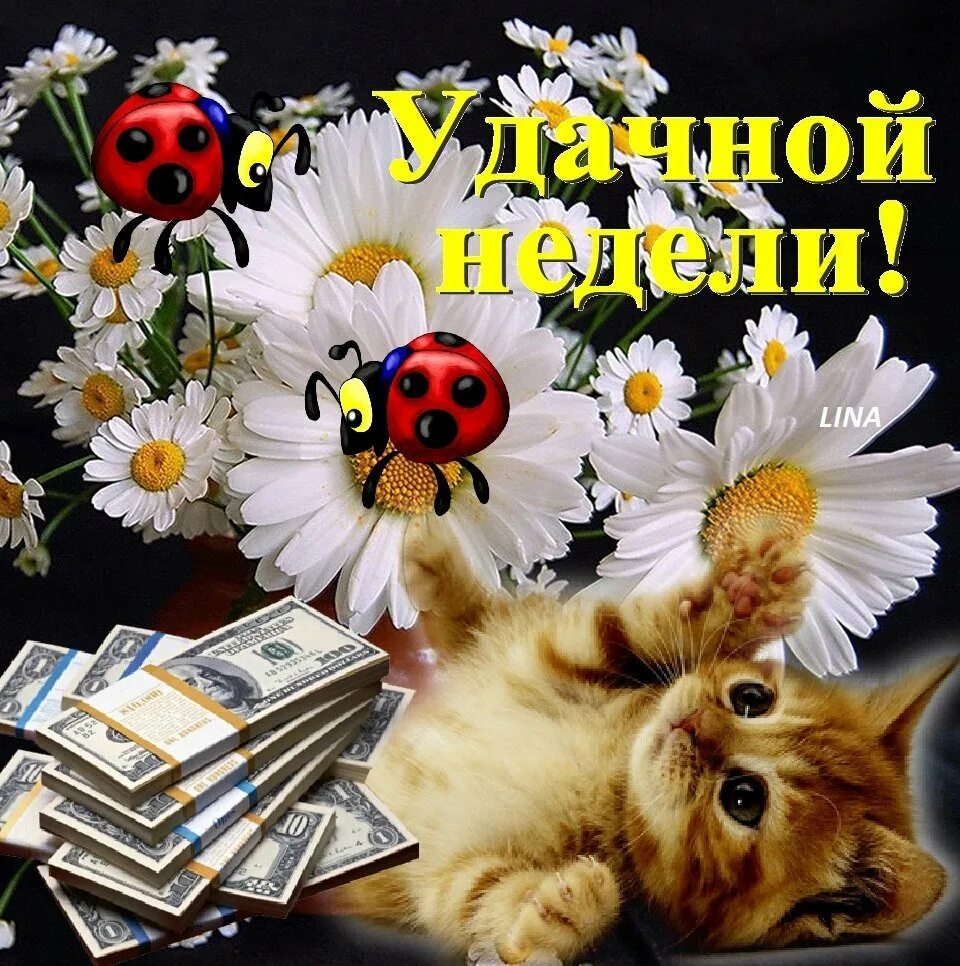 Доброго дня и прекрасной недели. Открытки с понедельником. открытки с добрым понедельником. открытки с понедельником удачной недели. красивое поздравление с понедельником.
