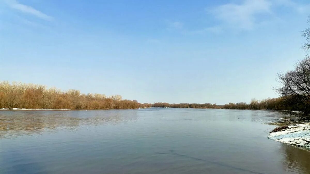 Алешинское водохранилище рязанская. Паводок рязанская область. Новомичуринское водохранилище пляж. Новомичуринск рязань водохранилище. Рязанское водохранилище.
