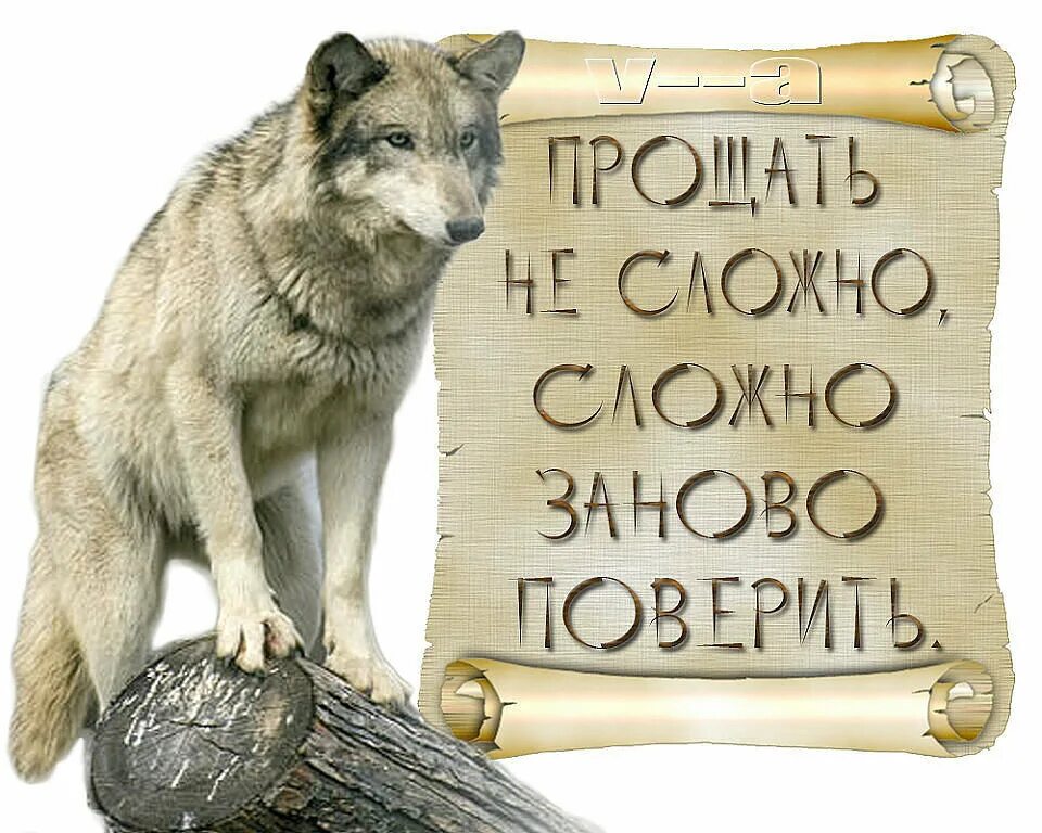 Поверить 3