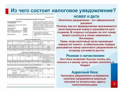 По каким налогам отправлять уведомление