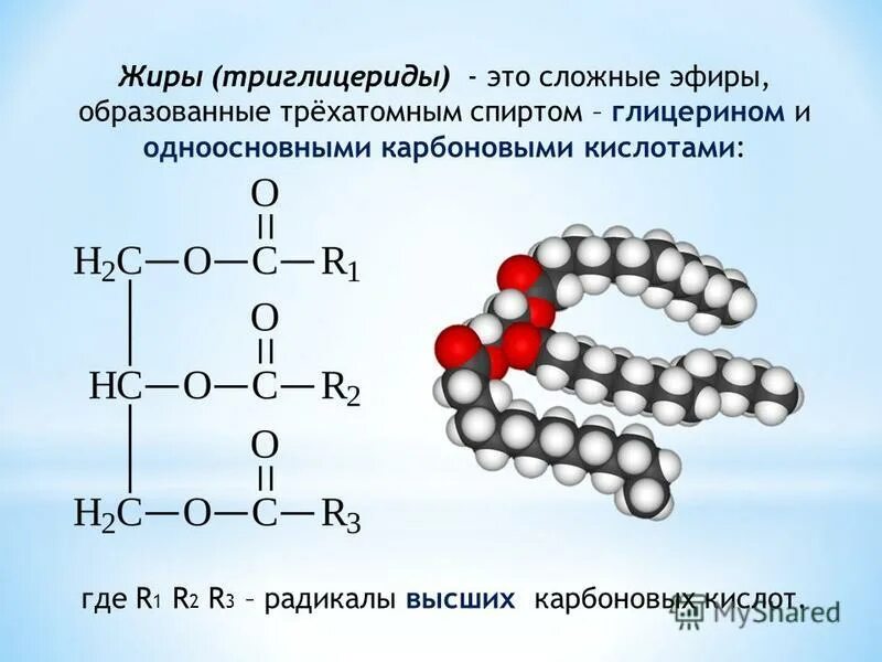 Состав триглицеридов. Триглицериды состав. Триглицерид стеариновой и олеиновой кислот. Триглицериды состав. Триглицериды жирных кислот формула.
