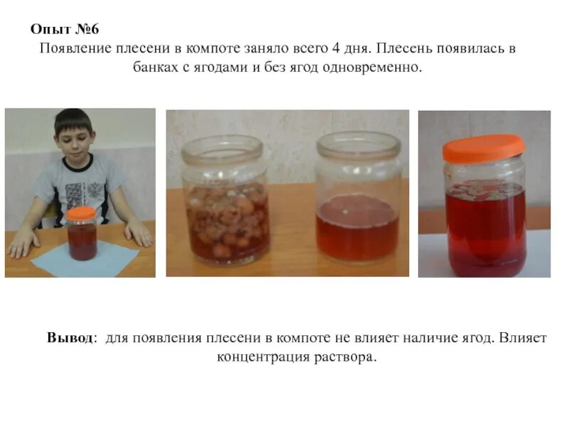 Опыт с плесенью. Эксперименты с микроорганизмами. Эксперимент с хлебом и плесенью. Плесень на хлебе. Опыт с хлебом и плесенью.