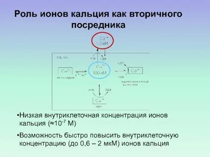 Ca заряд