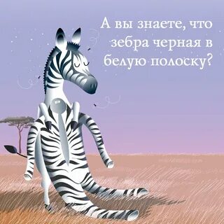 Белая полоса в жизни