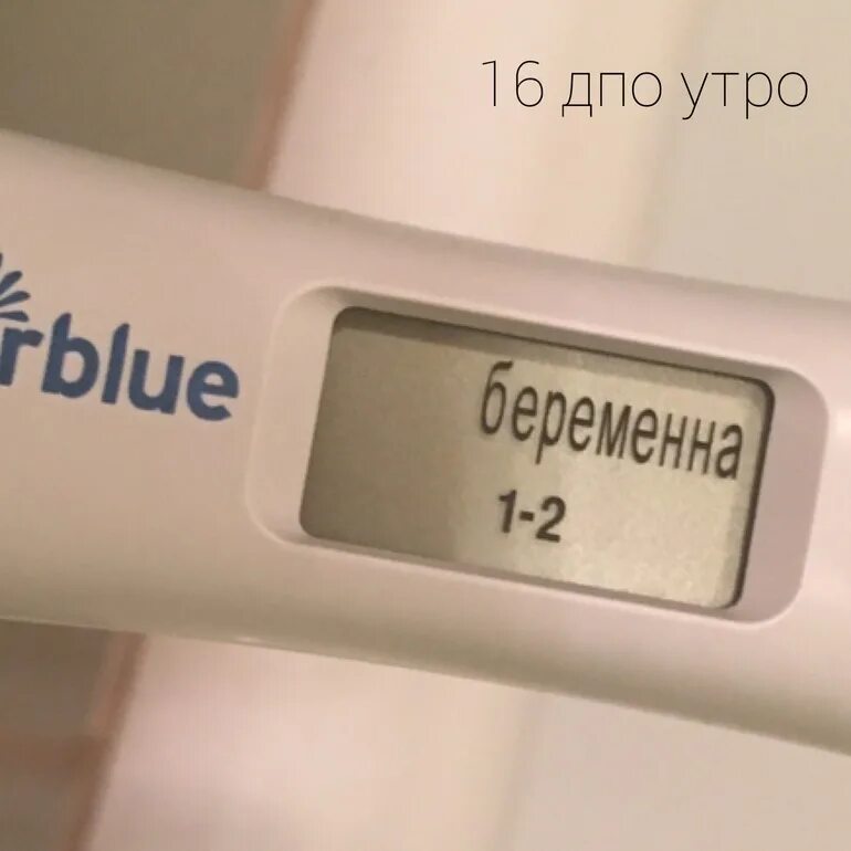 Беременна 1 2 недели тест. Тест клеар блю 16 дпо. толщиномер на 16 дпо. цифровой тест на 16 день после овуляции 2-3 недели. клео тест положительный.