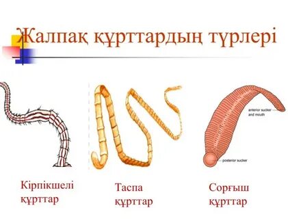 Таспа