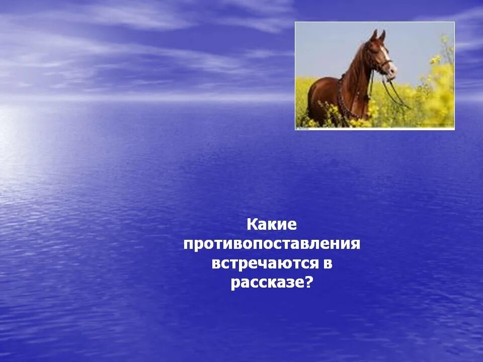 Главная мысль рассказа о чем плачут лошади. Эстетические и нравственно-экологические проблемы. Эстетические проблемы о чём плачут лошади. Эстетические проблемы и нравственно экологические о чем плачут. О чем плачут лошади экологические проблемы.