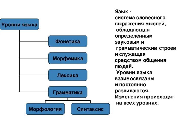 Уровневое строение языка таблица. Уровни языка русский язык. Языковые уровни. Система и структура языка. Уровни языковой системы русского языка.