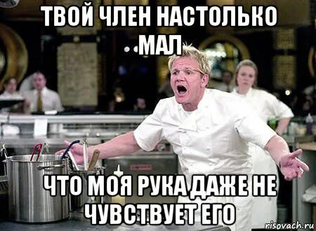 Цитаты про низкий рост. Приколы про маленькие города. Настолько мало. Мир испортился цитаты. Вселенная настолько велика морти фраза.