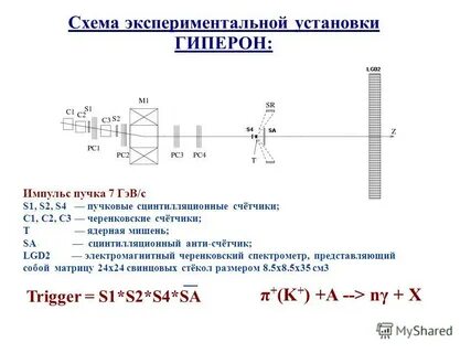 Нейтральная масса