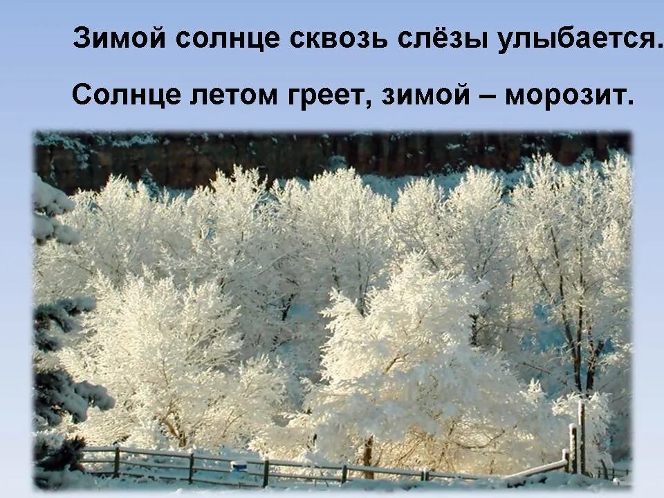 Рады мы проказам зимы