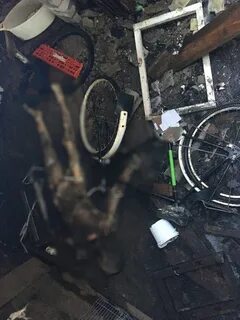 Подростки нашли дыру в своем гараже