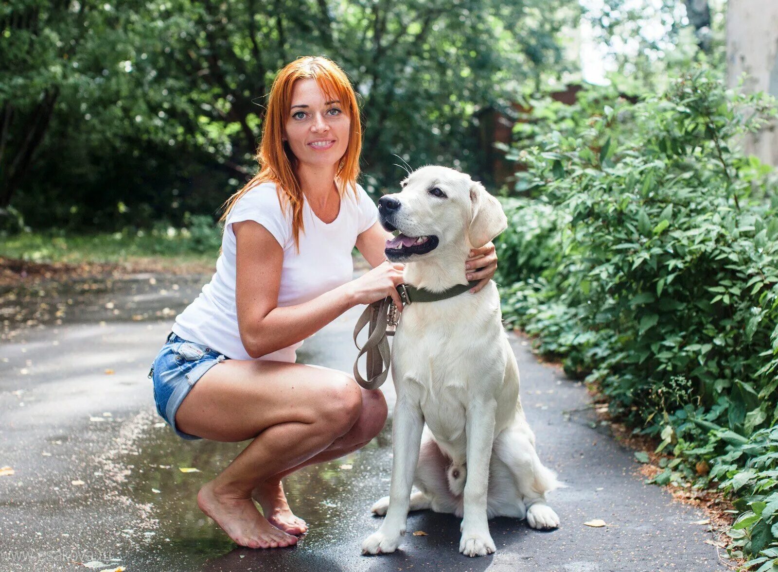 Dog have woman. Женщина с собакой. Девушка с собачкой. Фотосессия с собакой. Фотосессия женщина с собакой.