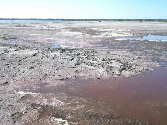 Новоегорьевское Алтайский край. Село Новоегорьевское Алтайский край. Лебяжье Алтайский край Егорьевский район. Новоегорьевское Егорьевского района.