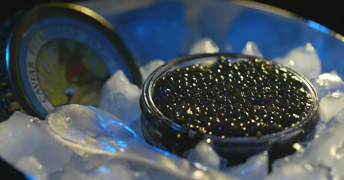 Баррель черной икры канал. Черная икра. Caviar икра. Чёрная икра Астрахань. Синяя икра.