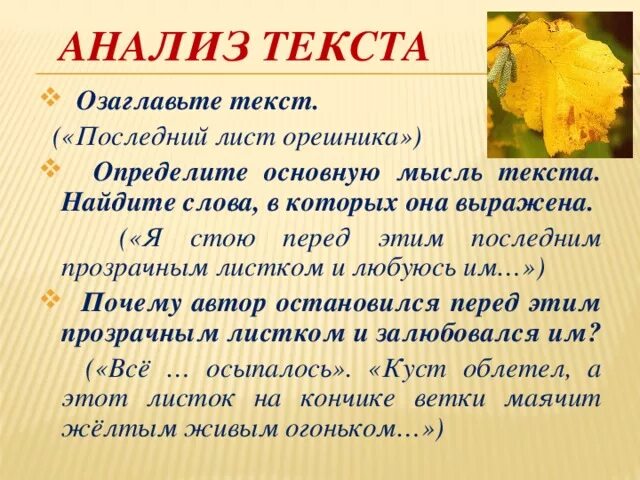 Я стою перед этим последним. Я стою перед этим последним